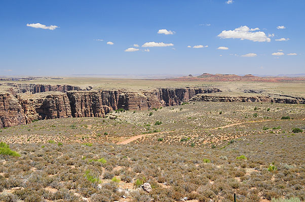 DSC_1357.jpg (4288x2848) NIKON D300 - 18-200mm f/3.5-5.6 // F7,1 // 1/200 sec // ISO 200 // 29,0 mm // no Flash // 2008:07:08 11:26:23 DSC_1357.jpg (4288x2848) NIKON D300 - 18-200mm f/3.5-5.6 // F7,1 // 1/200 sec // ISO 200 // 29,0 mm // no Flash // 2008:07:08 11:26:23